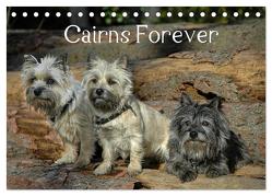 Cairns Forever (Tischkalender 2024 DIN A5 quer), CALVENDO Monatskalender von homwico,  homwico