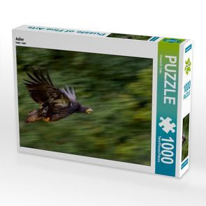 CALVENDO Puzzle Adler 1000 Teile Lege-Größe 64 x 48 cm Foto-Puzzle Bild von Ursula Di Chito von Di Chito,  Ursula