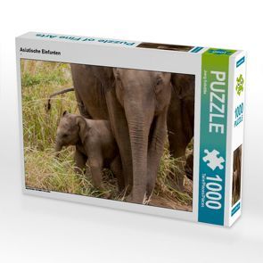 CALVENDO Puzzle Asiatische Elefanten 1000 Teile Lege-Größe 64 x 48 cm Foto-Puzzle Bild von Joerg Sobottka von Sobottka,  Joerg