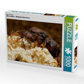 CALVENDO Puzzle Atta sexdens – Blattschneiderameise 1000 Teile Lege-Größe 64 x 48 cm Foto-Puzzle Bild von Roland Störmer von Störmer,  Roland