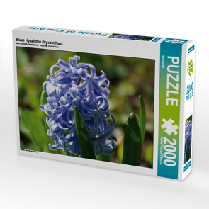 CALVENDO Puzzle Blaue Hyazinthe (Hyacinthus) 2000 Teile Lege-Größe 90 x 67 cm Foto-Puzzle Bild von kattobello