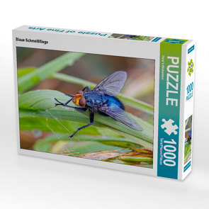 CALVENDO Puzzle Blaue Schmeißfliege 1000 Teile Lege-Größe 64 x 48 cm Foto-Puzzle Bild von Dany´s Blickwinkel