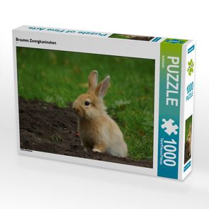 CALVENDO Puzzle Braunes Zwergkaninchen 1000 Teile Lege-Größe 64 x 48 cm Foto-Puzzle Bild von kattobello