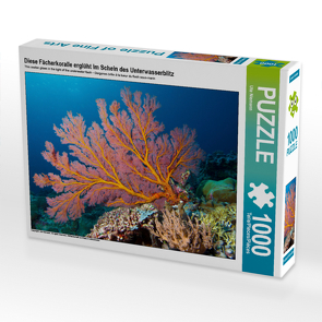 CALVENDO Puzzle Diese Fächerkoralle erglüht im Schein des Unterwasserblitz 1000 Teile Lege-Größe 64 x 48 cm Foto-Puzzle Bild von Ute Niemann