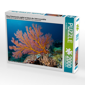 CALVENDO Puzzle Diese Fächerkoralle erglüht im Schein des Unterwasserblitz 2000 Teile Lege-Größe 90 x 67 cm Foto-Puzzle Bild von Ute Niemann