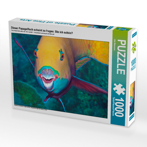 CALVENDO Puzzle Dieser Papageifisch scheint zu fragen: Bin ich schön? 1000 Teile Lege-Größe 64 x 48 cm Foto-Puzzle Bild von Ute Niemann