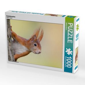 CALVENDO Puzzle Eichhörnchen 1000 Teile Lege-Größe 64 x 48 cm Foto-Puzzle Bild von Wilfried Martin