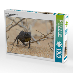 CALVENDO Puzzle Ein Wüstenchamäleon 1000 Teile Lege-Größe 64 x 48 cm Foto-Puzzle Bild von Christian Alpert