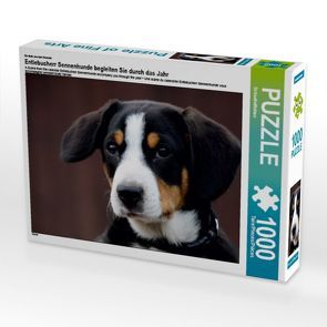 CALVENDO Puzzle Entlebucherr Sennenhunde begleiten Sie durch das Jahr 1000 Teile Lege-Größe 64 x 48 cm Foto-Puzzle Bild von SchnelleWelten von SchnelleWelten,  k.A.