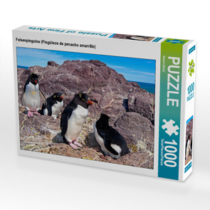 CALVENDO Puzzle Felsenpinguine (Pingüinos de penacho amarrillo) 1000 Teile Lege-Größe 64 x 48 cm Foto-Puzzle Bild von Bernd Zillich