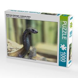 CALVENDO Puzzle Gefährliche Schlangen – Arabische Kobra 1000 Teile Lege-Größe 64 x 48 cm Foto-Puzzle Bild von Michael Herzog