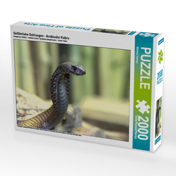 CALVENDO Puzzle Gefährliche Schlangen – Arabische Kobra 2000 Teile Lege-Größe 90 x 67 cm Foto-Puzzle Bild von Michael Herzog