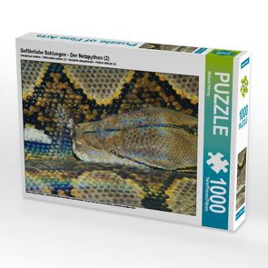 CALVENDO Puzzle Gefährliche Schlangen – Der Netzpython (2) 1000 Teile Lege-Größe 64 x 48 cm Foto-Puzzle Bild von Michael Herzog