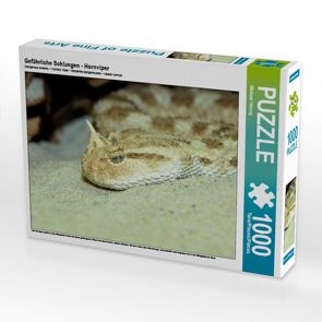 CALVENDO Puzzle Gefährliche Schlangen – Hornviper 1000 Teile Lege-Größe 64 x 48 cm Foto-Puzzle Bild von Michael Herzog