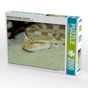CALVENDO Puzzle Gefährliche Schlangen – Hornviper 2000 Teile Lege-Größe 90 x 67 cm Foto-Puzzle Bild von Michael Herzog