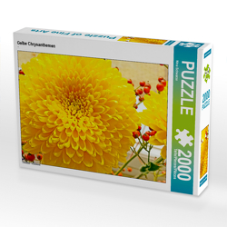 CALVENDO Puzzle Gelbe Chrysanthemen 2000 Teile Lege-Größe 67 x 90 cm Foto-Puzzle Bild von Nina Schwarze