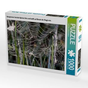 CALVENDO Puzzle Gesponnen hat die Spinne fein und hofft auf Beute die fliegt rein. 1000 Teile Lege-Größe 64 x 48 cm Foto-Puzzle Bild von Carl-Peter Herbolzheimer von Herbolzheimer,  Carl-Peter