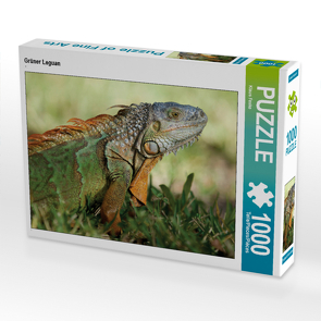 CALVENDO Puzzle Grüner Leguan 1000 Teile Lege-Größe 64 x 48 cm Foto-Puzzle Bild von Klaus Feske