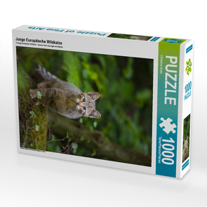 CALVENDO Puzzle Junge Europäische Wildkatze 1000 Teile Lege-Größe 48 x 64 cm Foto-Puzzle Bild von Christina Krutz