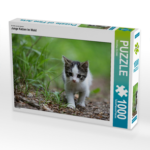CALVENDO Puzzle Junge Katzen im Wald 1000 Teile Lege-Größe 64 x 48 cm Foto-Puzzle Bild von Dorothea OLDANI