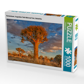 CALVENDO Puzzle Köcherbaum, Augrabies Falls National Park, Südafrika 1000 Teile Lege-Größe 64 x 48 cm Foto-Puzzle Bild von Christian Heeb