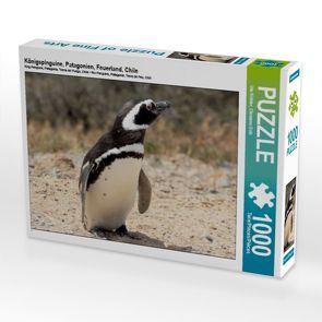 CALVENDO Puzzle Königspinguine, Patagonien, Feuerland, Chile 1000 Teile Lege-Größe 64 x 48 cm Foto-Puzzle Bild von Ute Köhler von Göb,  Clemens, Köhler,  Ute