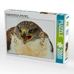 CALVENDO Puzzle Koenigsraufussbussard – Buteo regalis 2000 Teile Lege-Größe 90 x 67 cm Foto-Puzzle Bild von Dirk Grasse