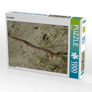 CALVENDO Puzzle Kreuzotter 1000 Teile Lege-Größe 64 x 48 cm Foto-Puzzle Bild von Kattobello