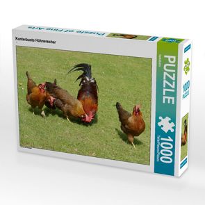 CALVENDO Puzzle Kunterbunte Hühnerschar 1000 Teile Lege-Größe 64 x 48 cm Foto-Puzzle Bild von kattobello