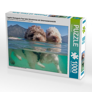 CALVENDO Puzzle Lagotto Romagnolo Paar beim Schwimmen mit Unterwasseransicht 1000 Teile Lege-Größe 64 x 48 cm Foto-Puzzle Bild von Wuffclick-pic