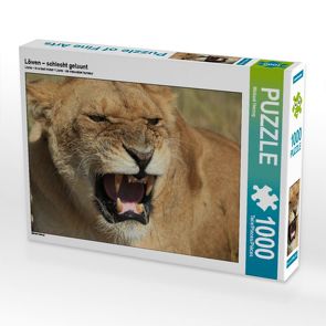 CALVENDO Puzzle Löwen – schlecht gelaunt 1000 Teile Lege-Größe 64 x 48 cm Foto-Puzzle Bild von Michael Herzog