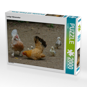 CALVENDO Puzzle Lustige Hühnerschar 2000 Teile Lege-Größe 90 x 67 cm Foto-Puzzle Bild von Kattobello