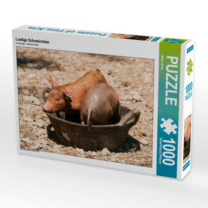 CALVENDO Puzzle Lustige Schweinchen 1000 Teile Lege-Größe 64 x 48 cm Foto-Puzzle Bild von Meike Bölts