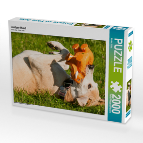 CALVENDO Puzzle Lustiger Hund 2000 Teile Lege-Größe 90 x 67 cm Foto-Puzzle Bild von Meike Bölts