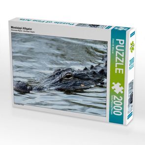 CALVENDO Puzzle Missisippi Alligator 2000 Teile Lege-Größe 90 x 67 cm Foto-Puzzle Bild von Dieter-M. Wilczek