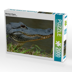 CALVENDO Puzzle Missisippi Alligator 2000 Teile Lege-Größe 90 x 67 cm Foto-Puzzle Bild von Dieter-M. Wilczek