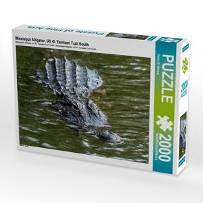 CALVENDO Puzzle Missisippi Alligator, US 41 Tamiami Trail South 2000 Teile Lege-Größe 90 x 67 cm Foto-Puzzle Bild von Dieter-M. Wilczek