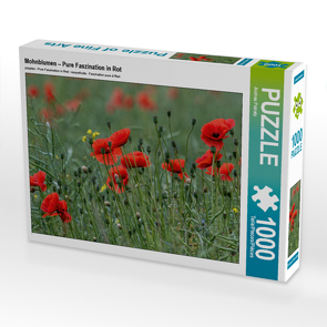 CALVENDO Puzzle Mohnblumen – Pure Faszination in Rot 1000 Teile Lege-Größe 64 x 48 cm Foto-Puzzle Bild von Andrea Potratz