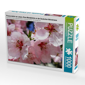 CALVENDO Puzzle Prunus dulcis var. amara -Rosa Mandelblüte an der Deutschen Weinstrasse 1000 Teile Lege-Größe 640 x 480 cm Foto-Puzzle Bild von None SulamayFillingerFotografie