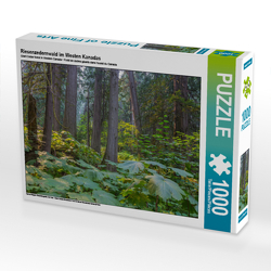 CALVENDO Puzzle Riesenzedernwald im Westen Kanadas 1000 Teile Lege-Größe 64 x 48 cm Foto-Puzzle Bild von N N