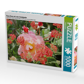 CALVENDO Puzzle Rosa Rose mit roter Schafgarbe 1000 Teile Lege-Größe 64 x 48 cm Foto-Puzzle Bild von Gisela Kruse