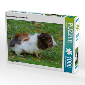 CALVENDO Puzzle Rosettenmeerschweinchen Baby 1000 Teile Lege-Größe 64 x 48 cm Foto-Puzzle Bild von kattobello