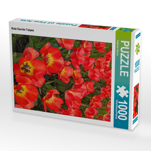 CALVENDO Puzzle Rote Darwin-Tulpen 1000 Teile Lege-Größe 48 x 64 cm Foto-Puzzle Bild von Eugeniya Kareva