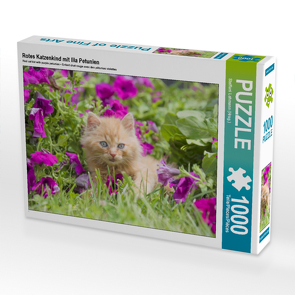 CALVENDO Puzzle Rotes Katzenkind mit lila Petunien 1000 Teile Lege-Größe 64 x 48 cm Foto-Puzzle Bild von Steffani Lehmann (Hrsg.)
