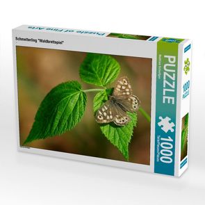 CALVENDO Puzzle Schmetterling „Waldbrettspiel“ 1000 Teile Lege-Größe 64 x 48 cm Foto-Puzzle Bild von Matthias Schaefgen