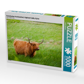 CALVENDO Puzzle Schottisches Hochlandrind, Highland Cattle, Kyloe 1000 Teile Lege-Größe 64 x 48 cm Foto-Puzzle Bild von Janita Webeler
