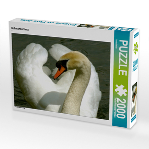 CALVENDO Puzzle Schwanen Herz 2000 Teile Lege-Größe 90 x 67 cm Foto-Puzzle Bild von kattobello