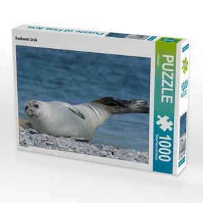 CALVENDO Puzzle Seehund Gruß 1000 Teile Lege-Größe 64 x 48 cm Foto-Puzzle Bild von Kattobello