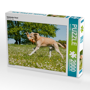 CALVENDO Puzzle Spielender Hund 2000 Teile Lege-Größe 90 x 67 cm Foto-Puzzle Bild von Meike Bölts