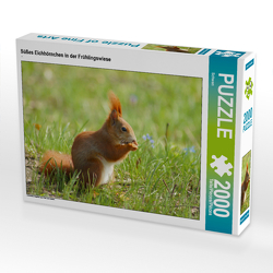 CALVENDO Puzzle Süßes Eichhörnchen in der Frühlingswiese 2000 Teile Lege-Größe 90 x 67 cm Foto-Puzzle Bild von Schwan